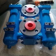 银河999小玛丽水果游戏生产SRLF-660*30P双筒回油过滤器