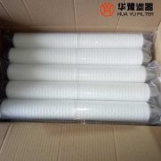 银河999小玛丽水果游戏生产WFF-150-1 定子冷却水滤芯