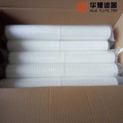 银河999小玛丽水果游戏定冷水过滤器滤芯 MSL-125/31