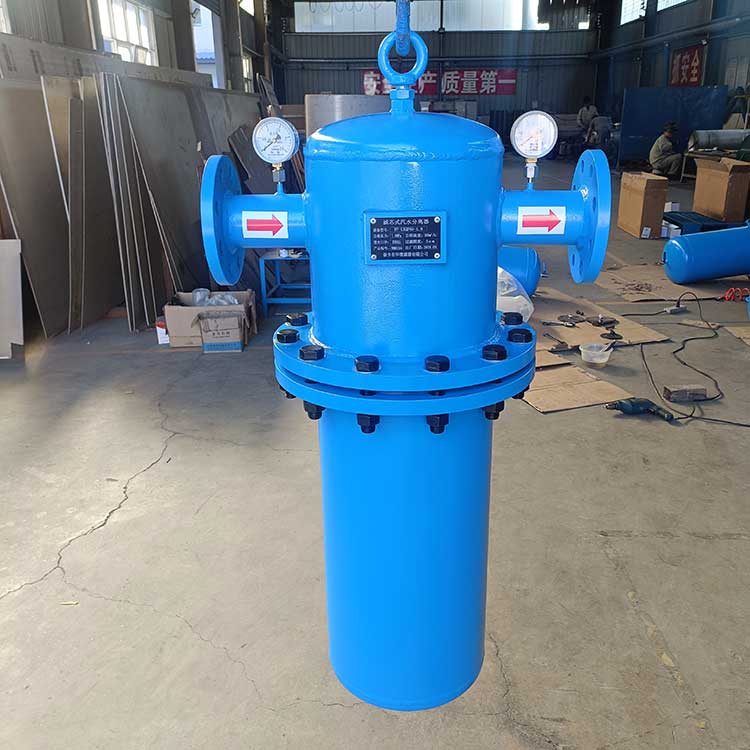银河999小玛丽水果游戏生产供应DN65滤芯式汽水分离器 可更换滤芯